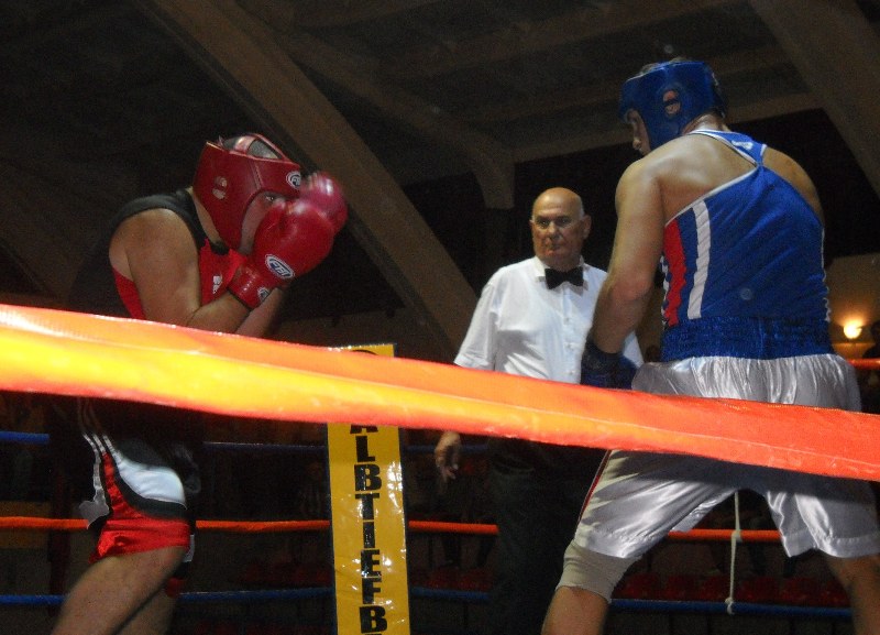 nelson hysa 800×600